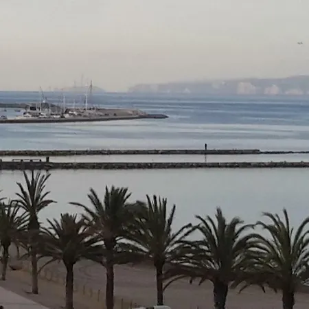 Palmeras 2.2/2.5 *